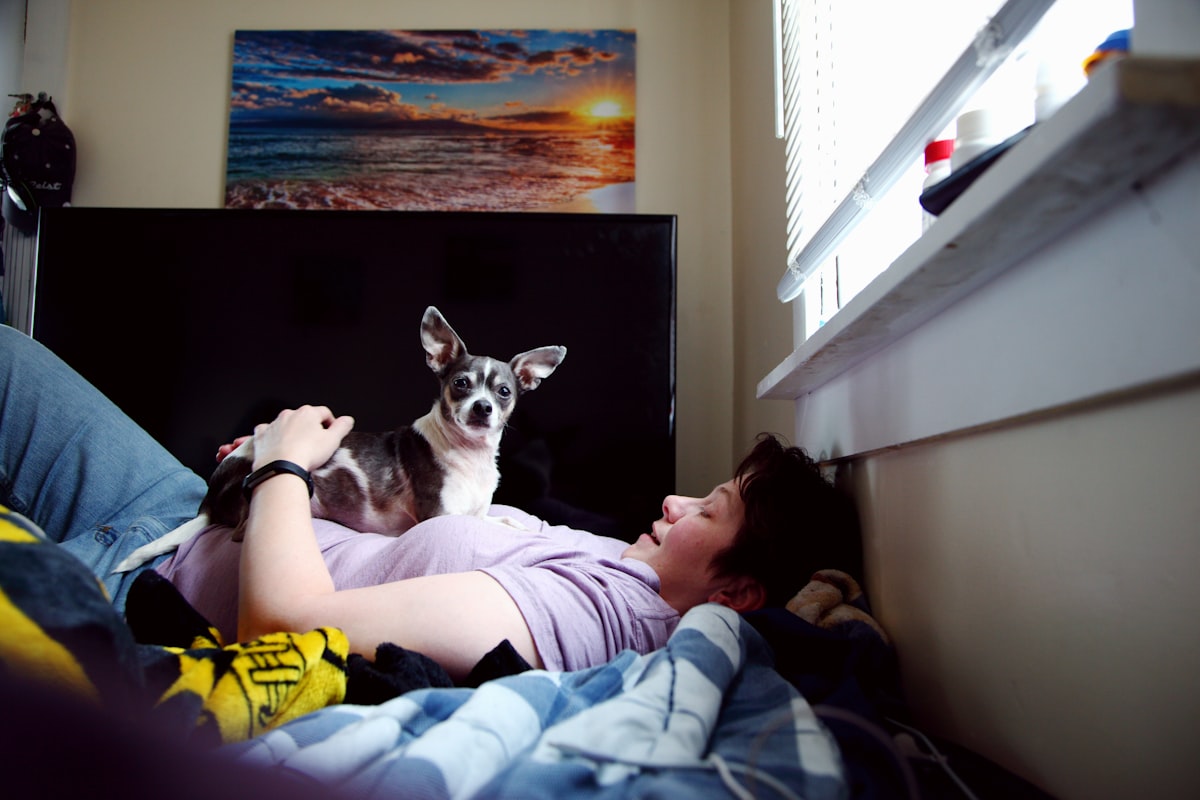 Shane with our newly adopted rescue chihuahua "Miles". He is ten years old and he came from Tuscaloosa, Alabama. His former owner could no longer care for him because they were in the final stages of liver cancer. We love him so much and will give him the best forever home he could ever want. Miles lifts Shane's mood. Quarantine is better with Miles around.    related to The Ultimate Guide to Best Friends Bed and Biscuit