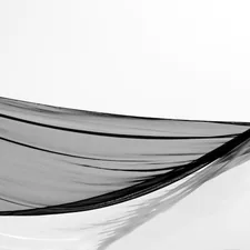 Silhouette of a person holding a flowing black fabric related to Timeless Elegance: The Ultimate Guide to Black and White Bed Sets