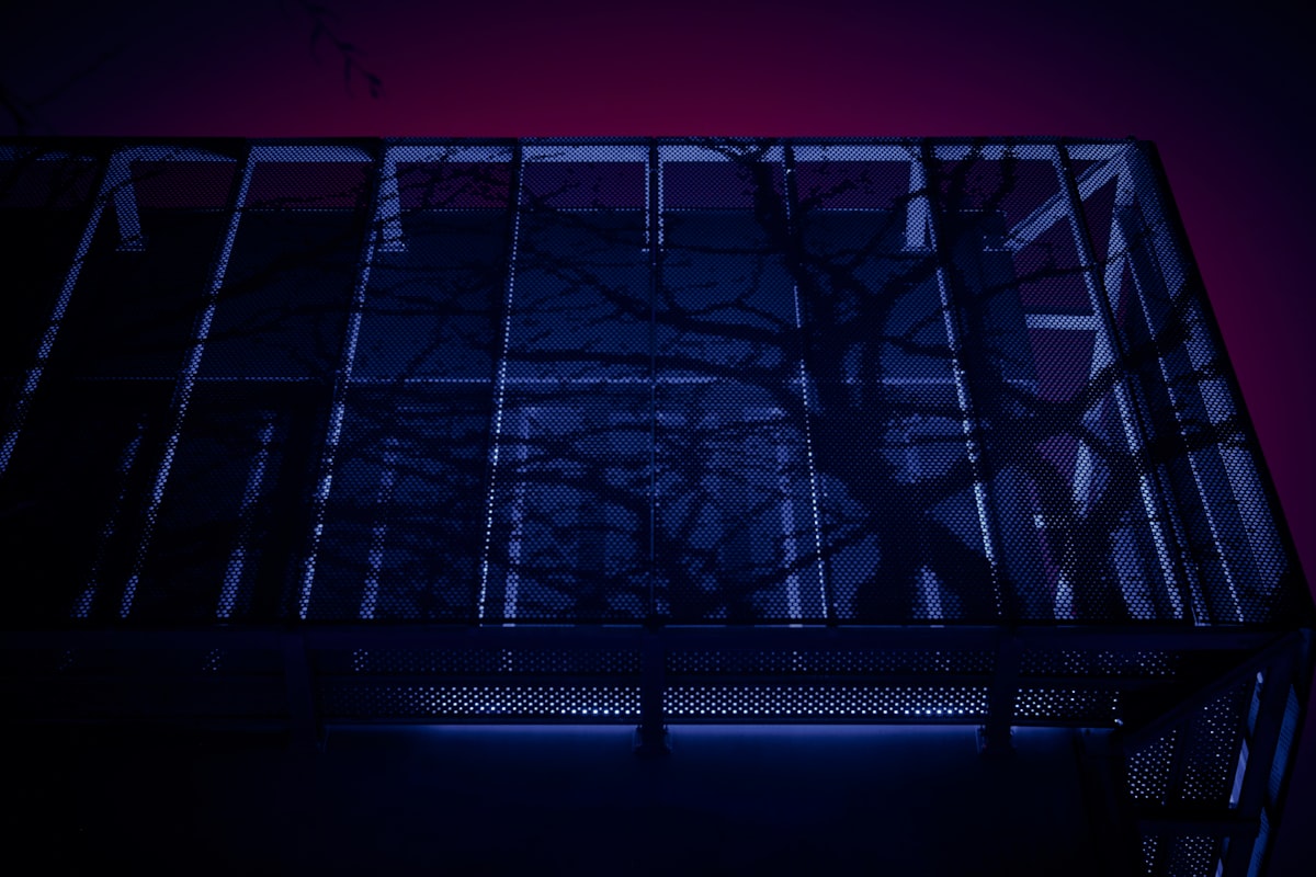 silhouette of tree branches related to The Ultimate Sleep Experience: WWE Wrestling Ring Bed