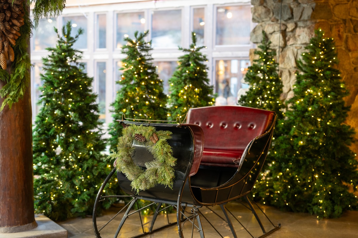 Sleigh at the Ahwahnee Hotel in Yosemite for Christmas 2023 related to Elegant and Timeless Mahogany Sleigh Bed Designs