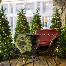 Sleigh at the Ahwahnee Hotel in Yosemite for Christmas 2023 related to Elegant and Timeless Mahogany Sleigh Bed Designs