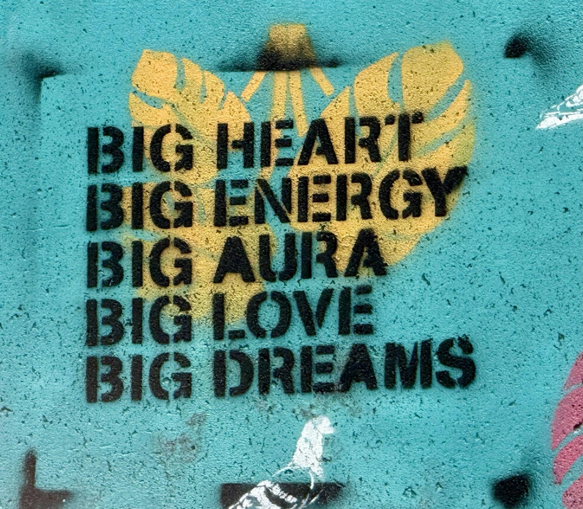 Spread love, energy, and dreams with a big heart. related to Dream Big with Monster High Doll Beds