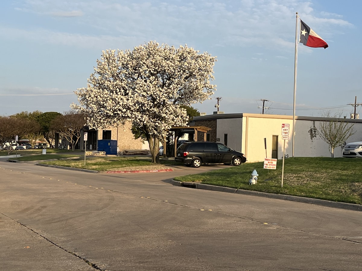 Spring is coming 
 related to Charming Stays in Gruene: A Guide to Local Bed and Breakfasts