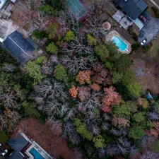 Suburban houses near a forest related to Revamp Your Bedroom with the Best Alabama Bed Sets