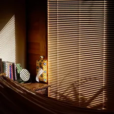 Sunlight streams through blinds onto a shelf. related to Revealing the Anatomy of Vertical Blind Valance Parts