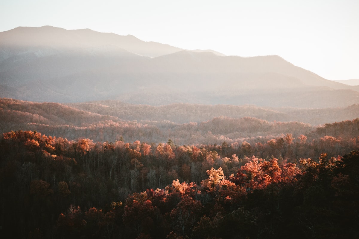 Sunset in the Appalachians. related to Nestled Amongst Peaks: Experience Serenity at Smoky Mountain Bed and Breakfast