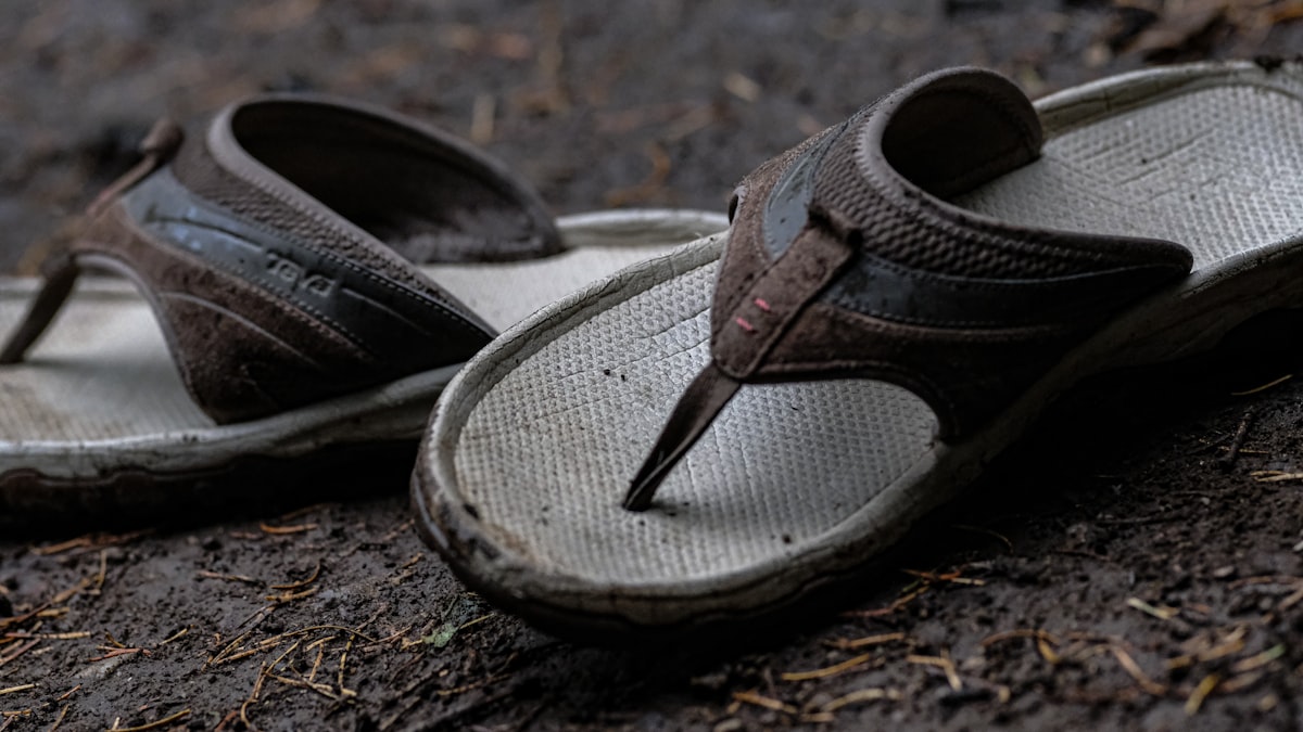 Teva flip flop sandals on a forested mountain hiking tail. related to How to Handle Bed Bugs in Shoes