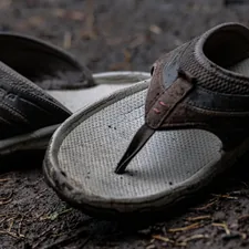 Teva flip flop sandals on a forested mountain hiking tail. related to How to Handle Bed Bugs in Shoes