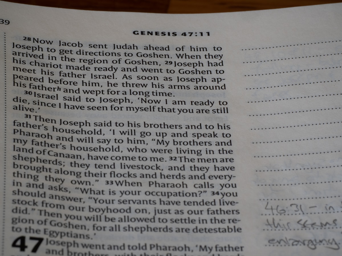 The Book of Genesis related to Cenation Slumber: Unleash the John Cena Bedding