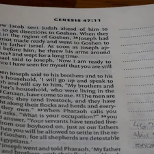 The Book of Genesis related to Cenation Slumber: Unleash the John Cena Bedding