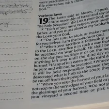 The Book of Leviticus related to Lasting Longer in Bed: A Comprehensive Guide