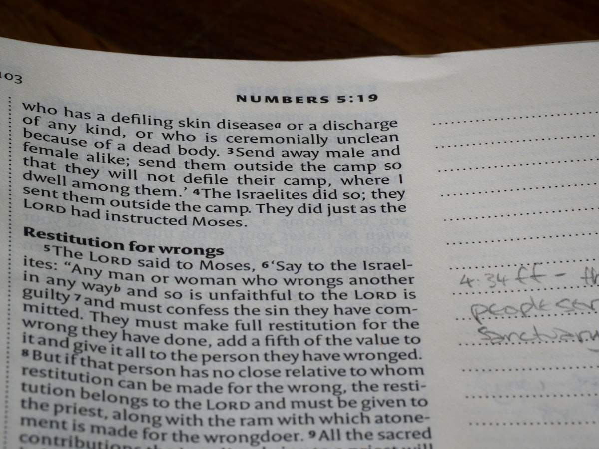 The Book of Numbers related to Effective Strategies for Improved Performance in Bed