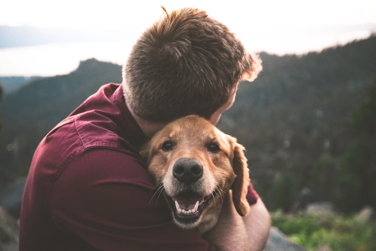 The Happy Doggo related to The Ultimate Comfort for Your Pet: Cuddle Cup Dog Bed