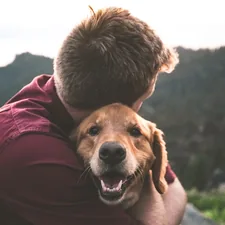 The Happy Doggo related to The Ultimate Comfort for Your Pet: Cuddle Cup Dog Bed