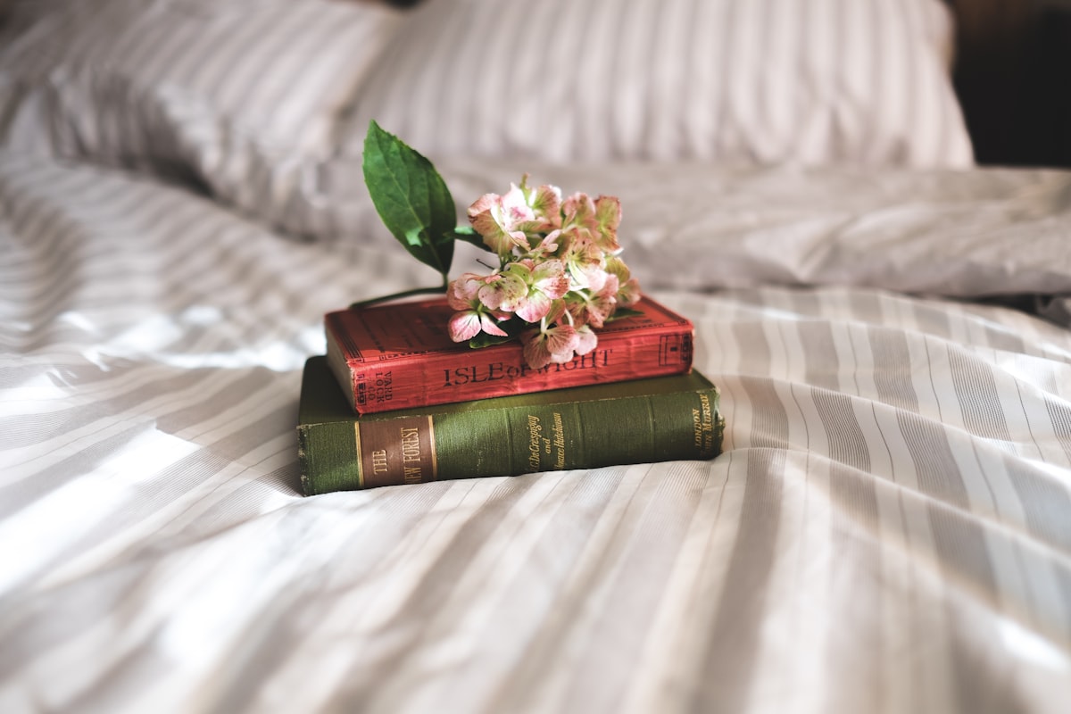 The smell of books related to The Ultimate Guide to Nighttime Reading