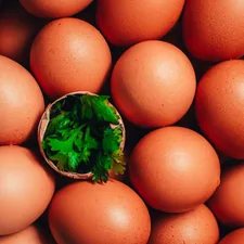 ...  related to The Ultimate Guide to Big Green Egg Chiminea