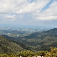 The whole world. related to A Relaxing Escape: Shenandoah Valley Bed and Breakfast
