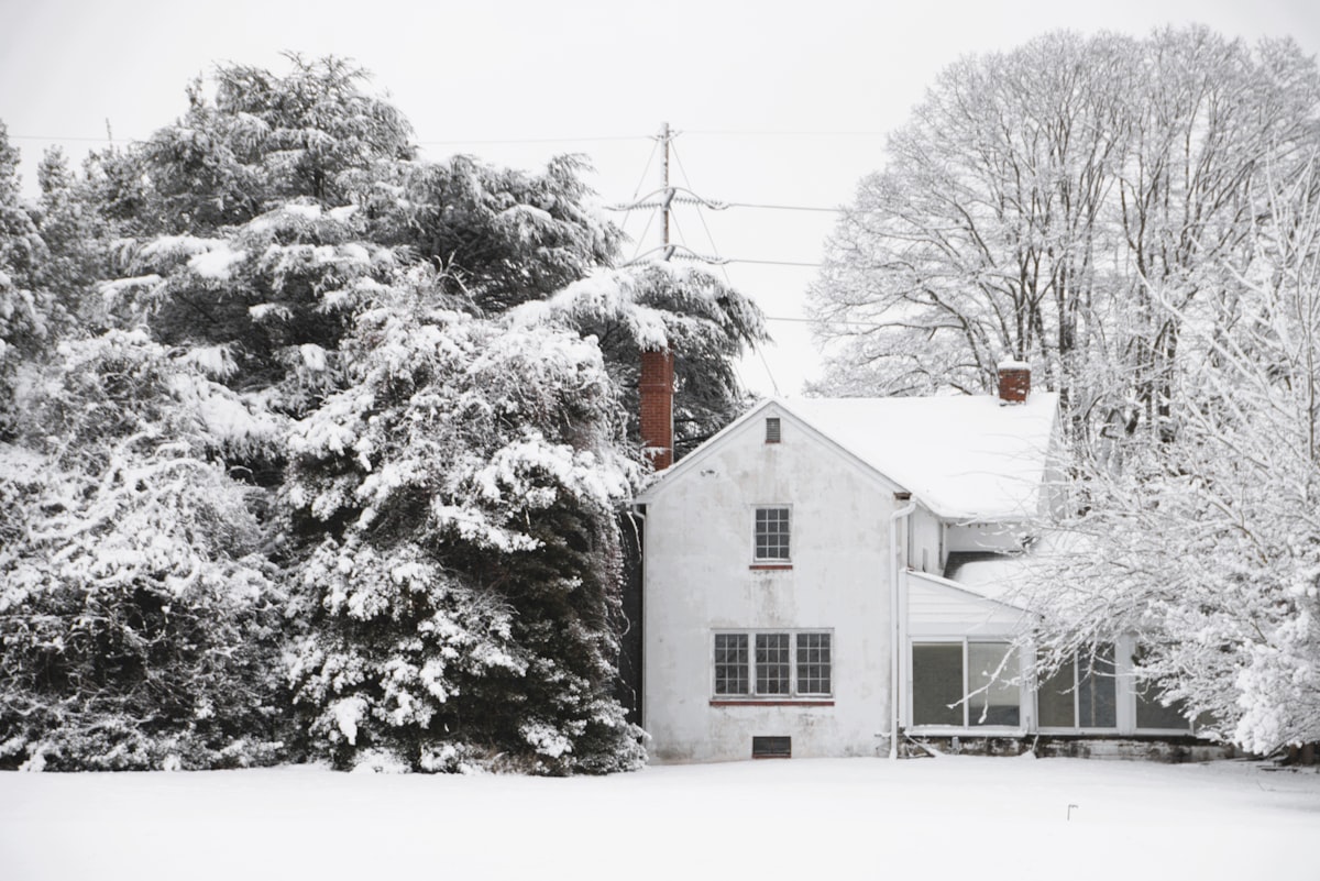 This photograph captures a starkly beautiful winter scene centered on an older, two-story farmhouse painted white. The house, with its symmetrical windows and a visible red brick chimney, is perfectly settled into a deep blanket of snow that covers the ground and rooflines. The composition is dramatic, with a towering, dark evergreen tree on the left, whose boughs are heavily laden with snow, creating a powerful contrast against the bright white of the house. Bare, snow-dusted deciduous trees frame the right side, while the bright foreground remains an undisturbed expanse of white, giving the related to Discover the Charm of Bed and Breakfasts in Delaware