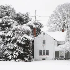 This photograph captures a starkly beautiful winter scene centered on an older, two-story farmhouse painted white. The house, with its symmetrical windows and a visible red brick chimney, is perfectly settled into a deep blanket of snow that covers the ground and rooflines. The composition is dramatic, with a towering, dark evergreen tree on the left, whose boughs are heavily laden with snow, creating a powerful contrast against the bright white of the house. Bare, snow-dusted deciduous trees frame the right side, while the bright foreground remains an undisturbed expanse of white, giving the related to Discover the Charm of Bed and Breakfasts in Delaware