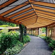 This was taken at the Missouri Botanical Gardens in Saint Louis, Missouri, one of my favorite spots to visit on a sunny afternoon. This particular spot is nestled in the Kemper Home Gardening Center, one of many facilities filled with botany and life. This photo makes me feel as though I’m lost in nothing more than a botanical wonderland. related to Elevate Your Home's Curb Appeal with These Stunning Entryway Roof Designs