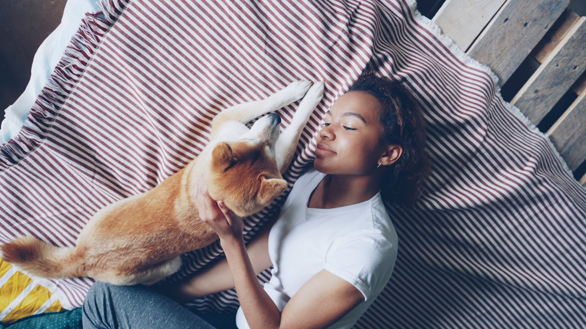 Top view of attractive African American woman stroking beautiful shiba inu dog lying on bed together at home. Young people, domestic animals, bedding, happiness and love concept. related to Explore the Best American Girl Beds for Sale: Find Your Perfect Match