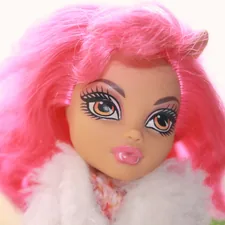 Toy Figurine Monster High Howleen Wolf Hip Hop Dance Class Doll 2012 related to Dream Big with Monster High Doll Beds