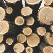 Tree rings pattern related to Discover the Best Chiminea Wood for Sale: A Comprehensive Guide
