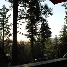 Trees and a cabin are seen in the woods. related to Explore Cozy Stays Near Yosemite