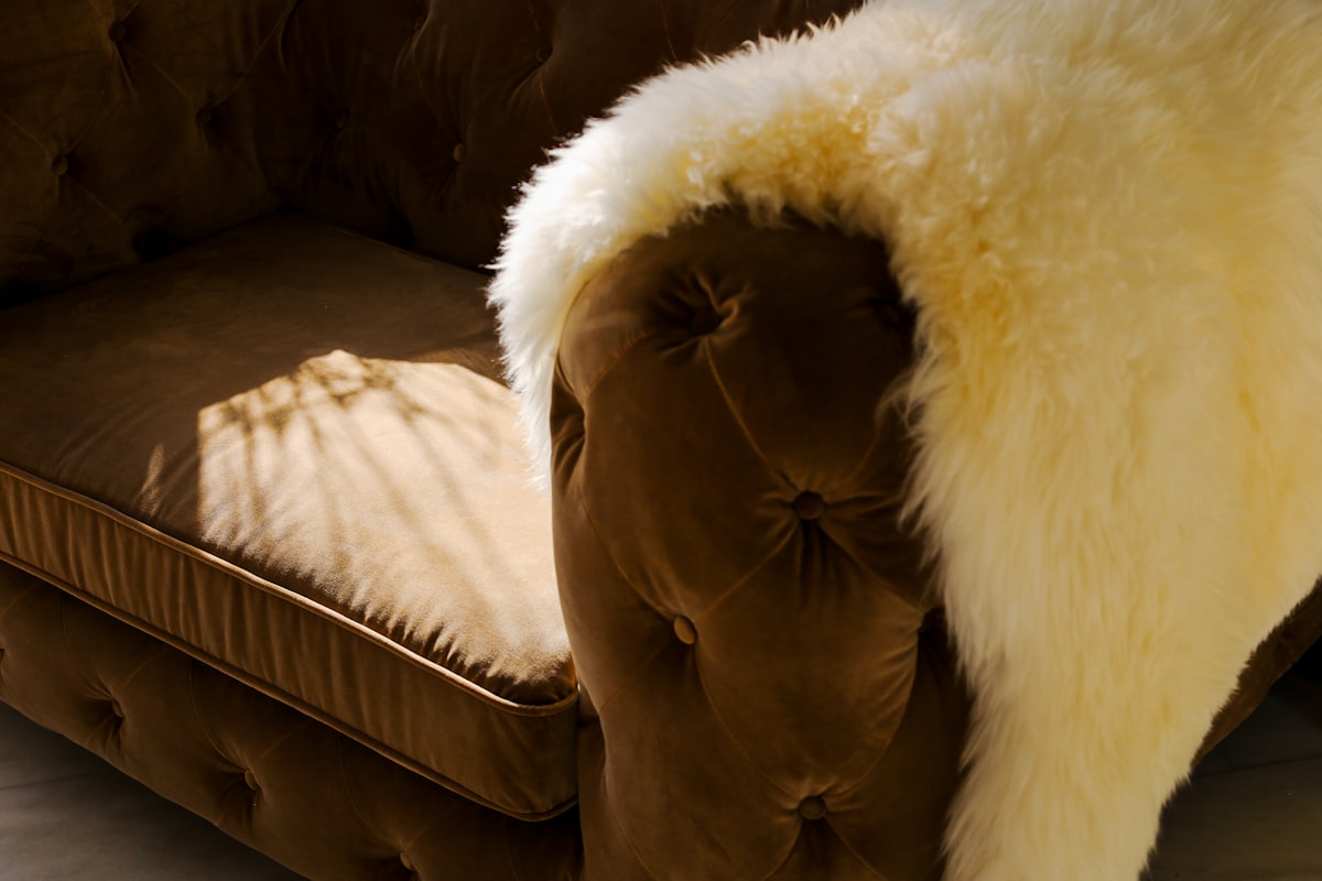 Velvet Chesterfield Sofa Couch Chair related to Paws in Luxury: The Ultimate Guide to High-End Canine Comfort