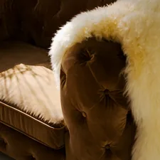 Velvet Chesterfield Sofa Couch Chair related to Paws in Luxury: The Ultimate Guide to High-End Canine Comfort