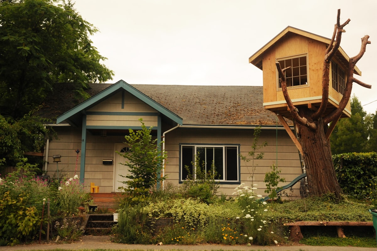 View of the house and new treehouse, builder inside, large tree, West Olympia, Washington, USA related to Tree House Bunk Beds: Elevate Your Kids' Sleeping Experience
