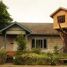 View of the house and new treehouse, builder inside, large tree, West Olympia, Washington, USA related to Tree House Bunk Beds: Elevate Your Kids' Sleeping Experience