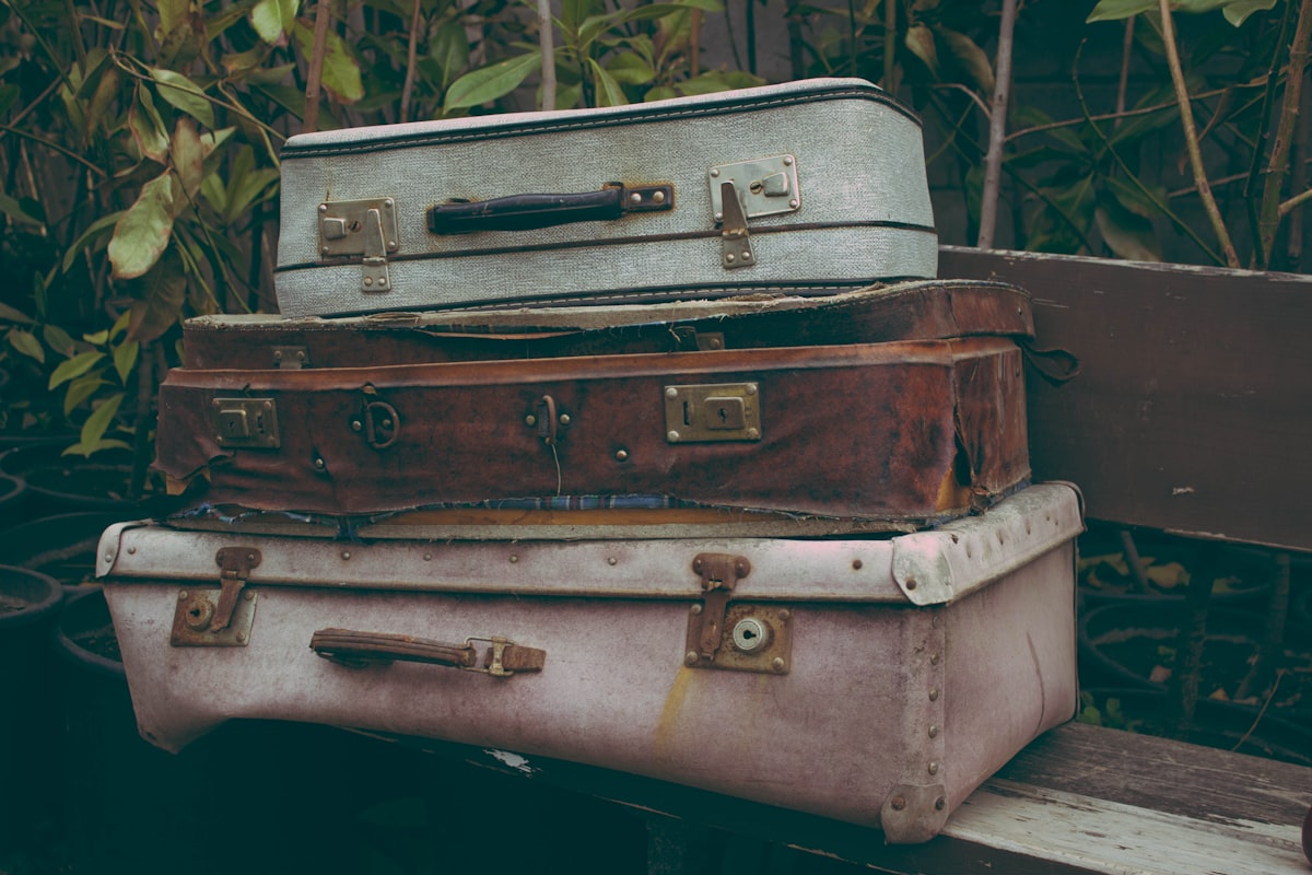 Vintage suitcases in Gardenia related to Top Suitcase Picks for Your Next Journey