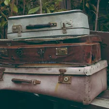 Vintage suitcases in Gardenia related to Top Suitcase Picks for Your Next Journey