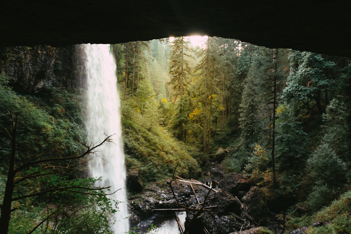 water falls in the middle of the forest related to Waterfall Window Valance: Elevate Your Home Decor