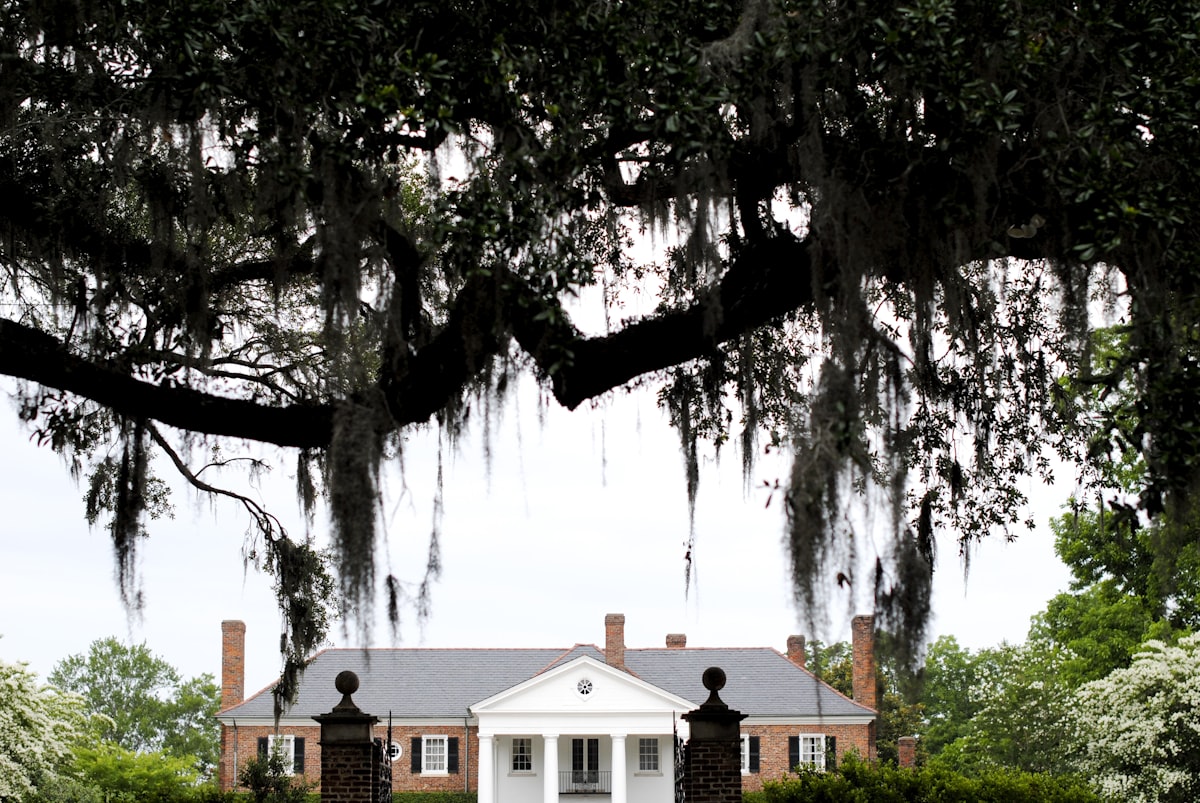 white and brown house near green trees during daytime related to Discover the Charm of Charleston, SC: Top Bed and Breakfast Options