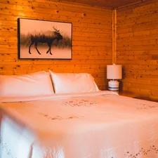 white bed linen with white table lamp related to Great Wolf Lodge Bed Bug Concerns:  What You Need to Know