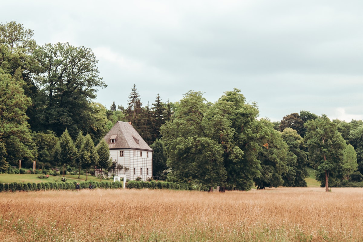 white wooden house in the middle of brown grass field related to The Timeless Elegance of White Battenburg Lace Valance