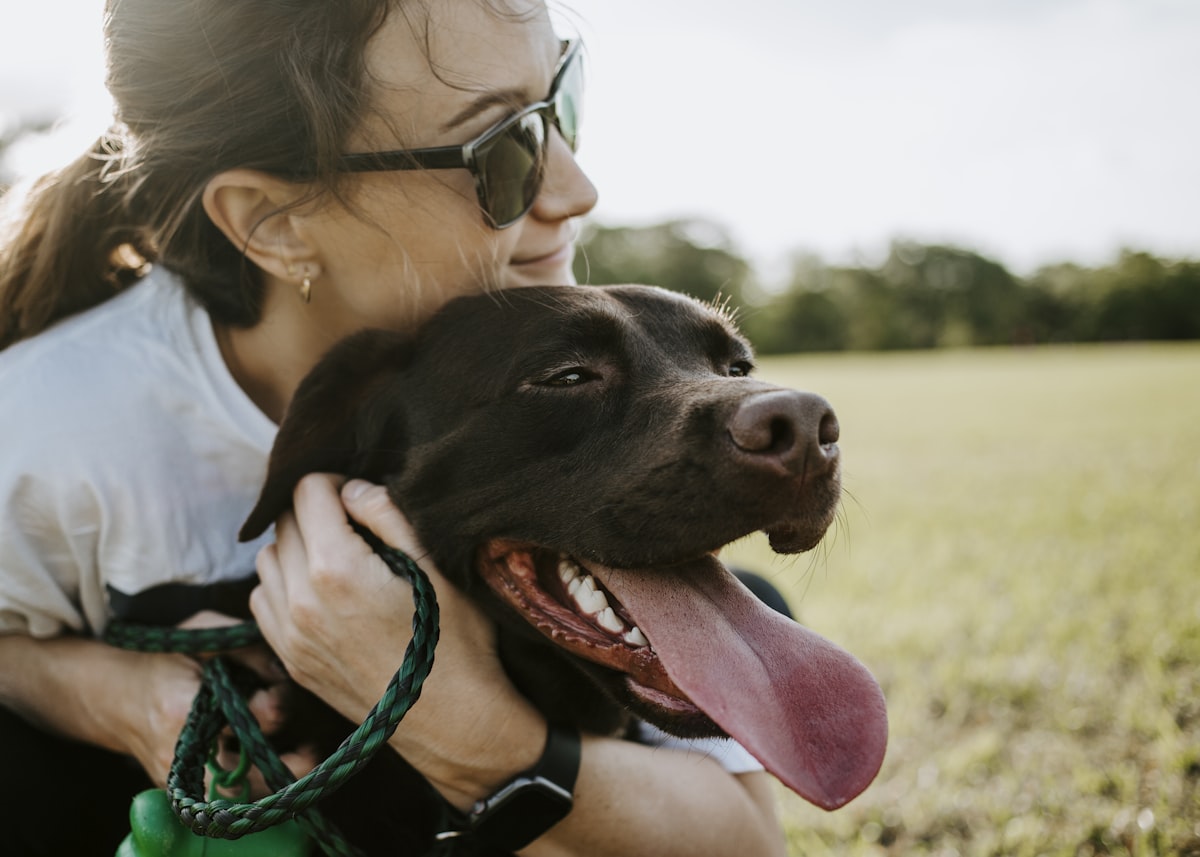 woman hugging a dog related to Find the Best Comfort for Your Dog