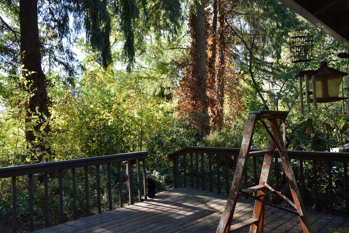 Wooden deck surrounded by lush green trees and foliage. related to Unlocking the Charm of Outdoor Living with Blue Rooster Prairie Chiminea