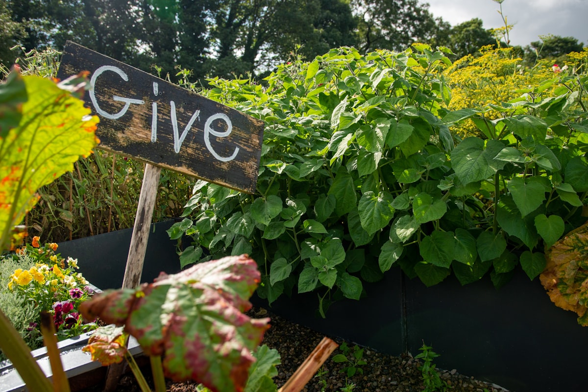 Wooden sign with "give" in a lush garden related to The Benefits and Beauty of Raised Bed Gardens